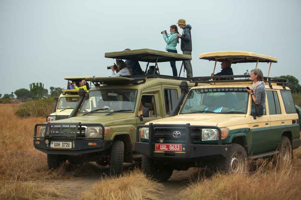 Queen Elizabeth National Park