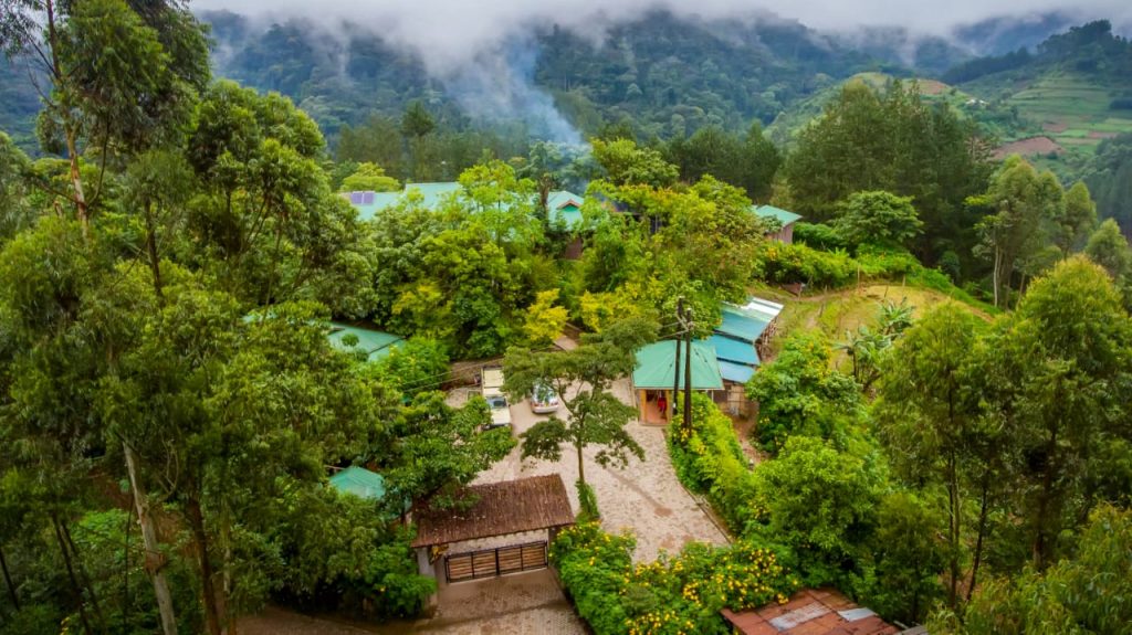 ichumbi-gorilla-lodge-in-bwindi-mgahinga