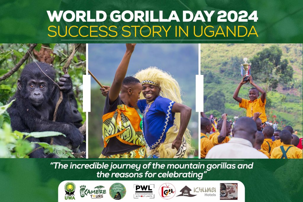 "Celebrating the success of Gorilla Conservation in Uganda"