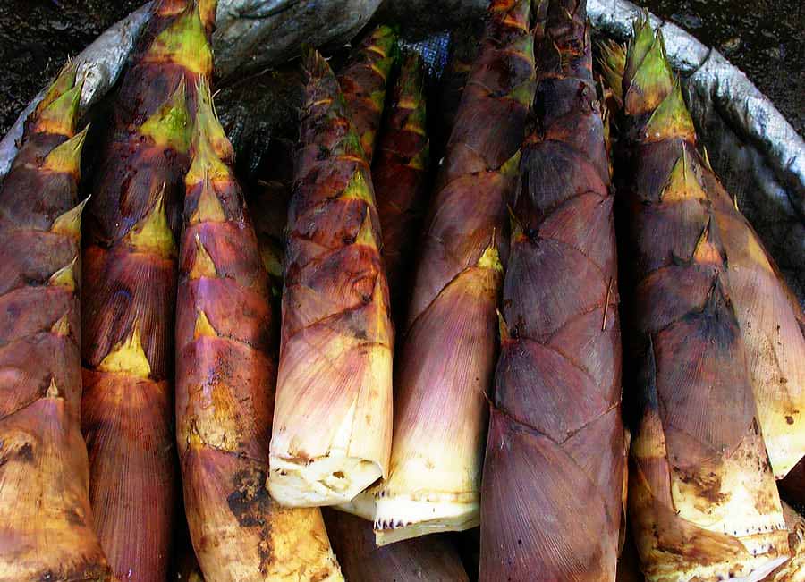 Popular Food In Uganda-Malewa